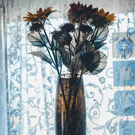 Mayerhofer House Apartament *