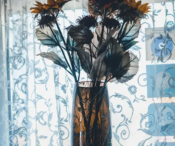 Mayerhofer House Apartmán *