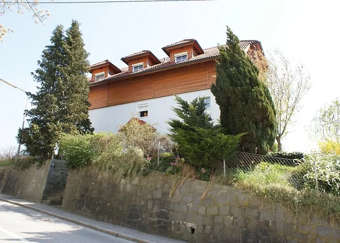 Mayerhofer House Daire